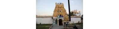241. திருக்கச்சிநெறிக்காரைக்காடு
